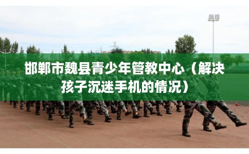 邯郸市魏县青少年管教中心（解决孩子沉迷手机的情况）