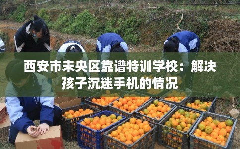 西安市未央区靠谱特训学校:解决孩子沉迷手机的情况 西安市未央区靠谱特训学校:解决孩子沉迷手机的情况