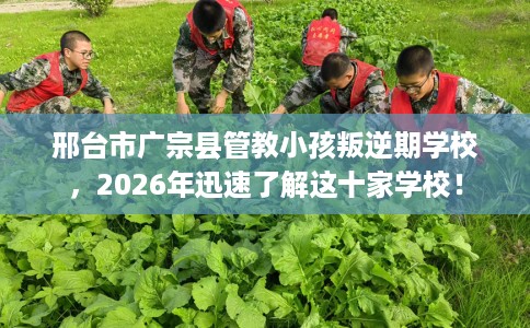邢台市广宗县管教小孩叛逆期学校,2026年迅速了解这十家学校! 邢台市广宗县管教小孩叛逆期学校,2026年迅速了解这十家学校!