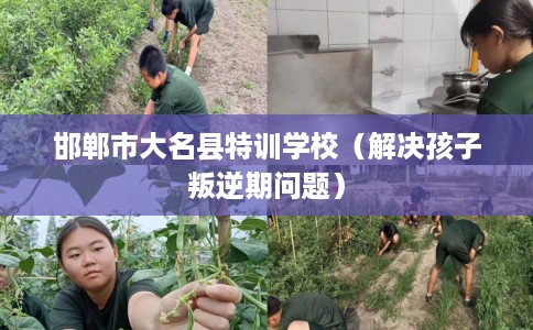邯郸市大名县特训学校（解决孩子叛逆期问题）