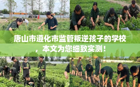 唐山市遵化市监管叛逆孩子的学校,本文为您细致实测! 唐山市遵化市监管叛逆孩子的学校,本文为您细致实测!