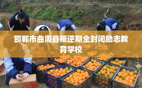 邯郸市曲周县叛逆期全封闭励志教育学校 邯郸市曲周县叛逆期全封闭励志教育学校
