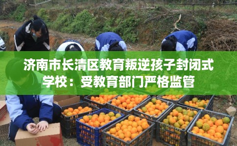 济南市长清区教育叛逆孩子封闭式学校:受教育部门严格监管 济南市长清区教育叛逆孩子封闭式学校:受教育部门严格监管