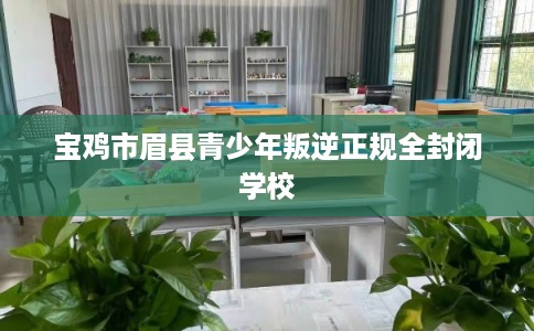 宝鸡市眉县青少年叛逆正规全封闭学校 宝鸡市眉县青少年叛逆正规全封闭学校