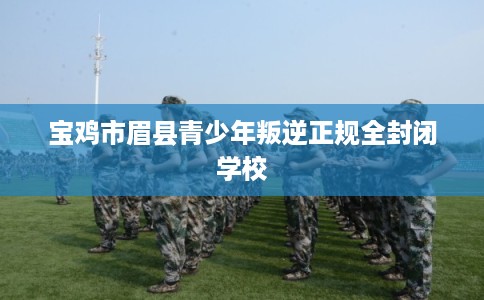 宝鸡市眉县青少年叛逆正规全封闭学校 宝鸡市眉县青少年叛逆正规全封闭学校