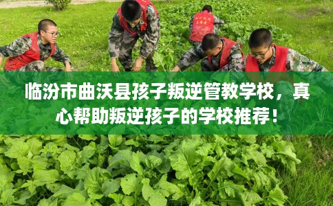 临汾市曲沃县孩子叛逆管教学校，真心帮助叛逆孩子的学校推荐！