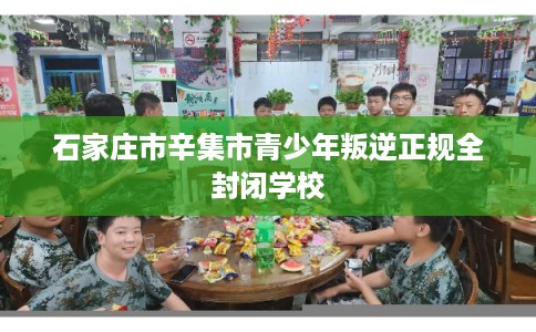 石家庄市辛集市青少年叛逆正规全封闭学校 石家庄市辛集市青少年叛逆正规全封闭学校