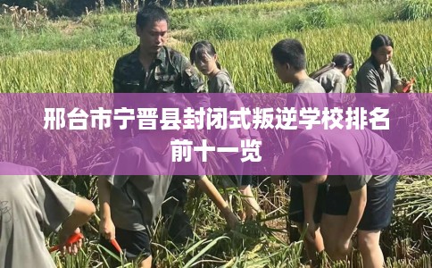 邢台市宁晋县封闭式叛逆学校排名前十一览 邢台市宁晋县封闭式叛逆学校排名前十一览