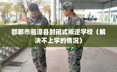 邯郸市临漳县封闭式叛逆学校(解决不上学的情况) 邯郸市临漳县封闭式叛逆学校(解决不上学的情况)