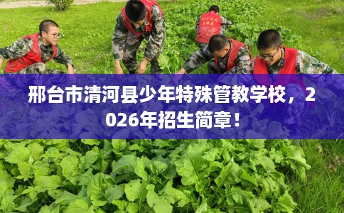 邢台市清河县少年特殊管教学校，2026年招生简章！
