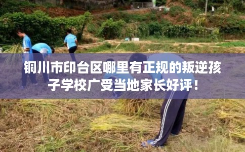 铜川市印台区哪里有正规的叛逆孩子学校广受当地家长好评! 铜川市印台区哪里有正规的叛逆孩子学校广受当地家长好评!