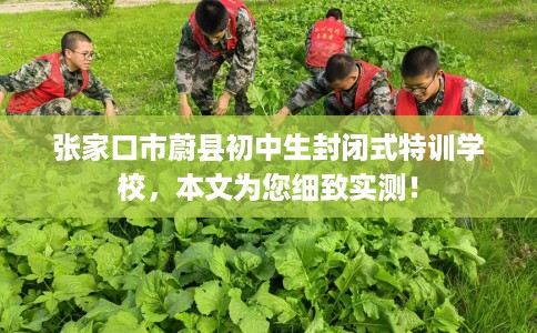 张家口市蔚县初中生封闭式特训学校，本文为您细致实测！