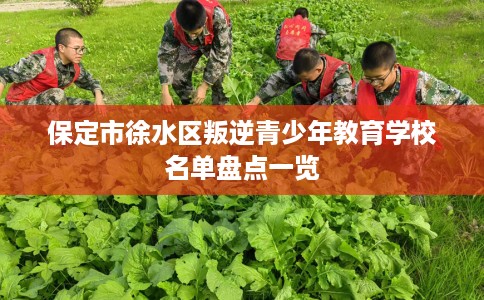 保定市徐水区叛逆青少年教育学校名单盘点一览 保定市徐水区叛逆青少年教育学校名单盘点一览