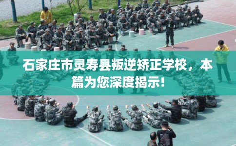 石家庄市灵寿县叛逆矫正学校,本篇为您深度揭示! 石家庄市灵寿县叛逆矫正学校,本篇为您深度揭示!