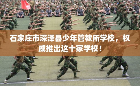 石家庄市深泽县少年管教所学校，权威推出这十家学校！