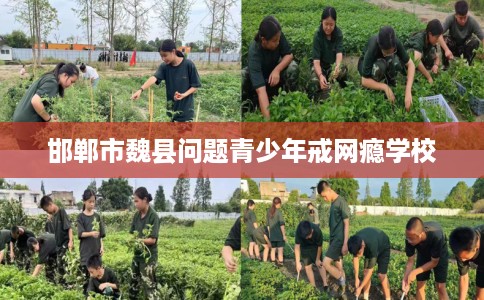 邯郸市魏县问题青少年戒网瘾学校