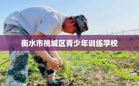 衡水市桃城区青少年训练学校