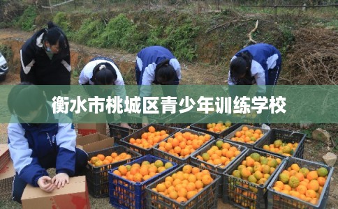 衡水市桃城区青少年训练学校