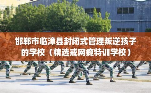 邯郸市临漳县封闭式管理叛逆孩子的学校(精选戒网瘾特训学校) 邯郸市临漳县封闭式管理叛逆孩子的学校(精选戒网瘾特训学校)