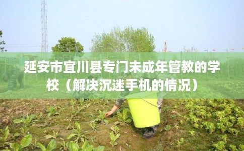 延安市宜川县专门未成年管教的学校（解决沉迷手机的情况）