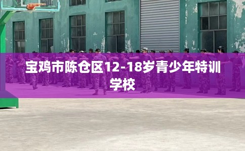 宝鸡市陈仓区12-18岁青少年特训学校 宝鸡市陈仓区12-18岁青少年特训学校