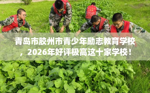 青岛市胶州市青少年励志教育学校，2026年好评极高这十家学校！
