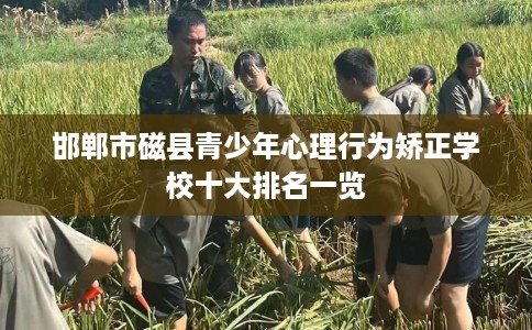 邯郸市磁县青少年心理行为矫正学校十大排名一览
