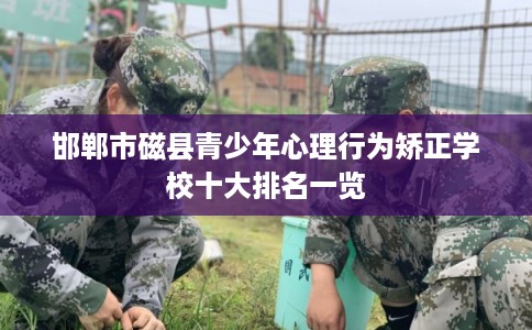 邯郸市磁县青少年心理行为矫正学校十大排名一览 邯郸市磁县青少年心理行为矫正学校十大排名一览