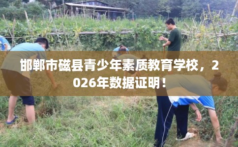 邯郸市磁县青少年素质教育学校，2026年数据证明！