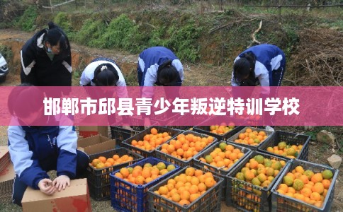 邯郸市邱县青少年叛逆特训学校 邯郸市邱县青少年叛逆特训学校