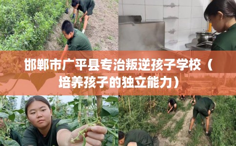 邯郸市广平县专治叛逆孩子学校(培养孩子的独立能力) 邯郸市广平县专治叛逆孩子学校(培养孩子的独立能力)