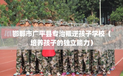 邯郸市广平县专治叛逆孩子学校(培养孩子的独立能力) 邯郸市广平县专治叛逆孩子学校(培养孩子的独立能力)
