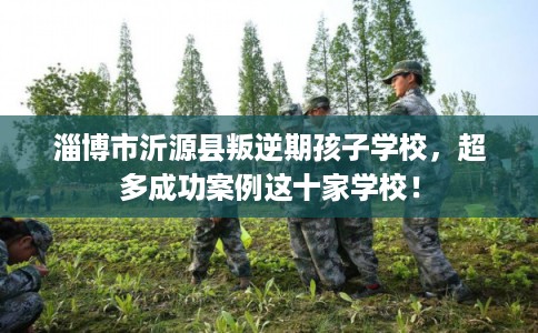 淄博市沂源县叛逆期孩子学校，超多成功案例这十家学校！