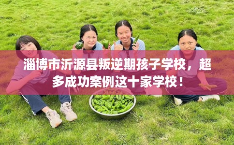 淄博市沂源县叛逆期孩子学校，超多成功案例这十家学校！