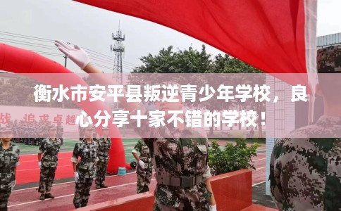 衡水市安平县叛逆青少年学校，良心分享十家不错的学校！