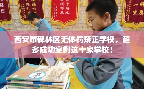 西安市碑林区无体罚矫正学校，超多成功案例这十家学校！