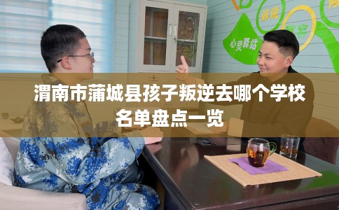 渭南市蒲城县孩子叛逆去哪个学校名单盘点一览 渭南市蒲城县孩子叛逆去哪个学校名单盘点一览