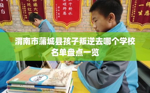 渭南市蒲城县孩子叛逆去哪个学校名单盘点一览