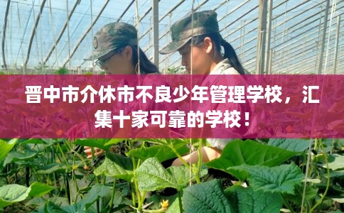 晋中市介休市不良少年管理学校,汇集十家可靠的学校! 晋中市介休市不良少年管理学校,汇集十家可靠的学校!