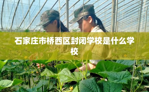 石家庄市桥西区封闭学校是什么学校