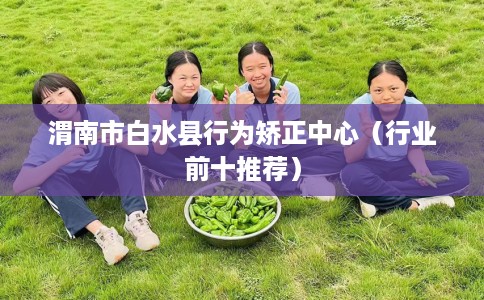 渭南市白水县行为矫正中心(行业前十推荐) 渭南市白水县行为矫正中心(行业前十推荐)