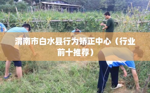 渭南市白水县行为矫正中心(行业前十推荐) 渭南市白水县行为矫正中心(行业前十推荐)
