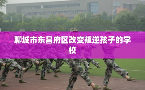 聊城市东昌府区改变叛逆孩子的学校
