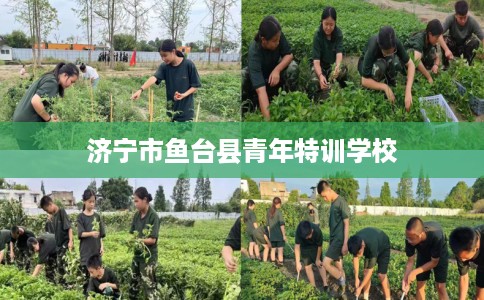 济宁市鱼台县青年特训学校 济宁市鱼台县青年特训学校