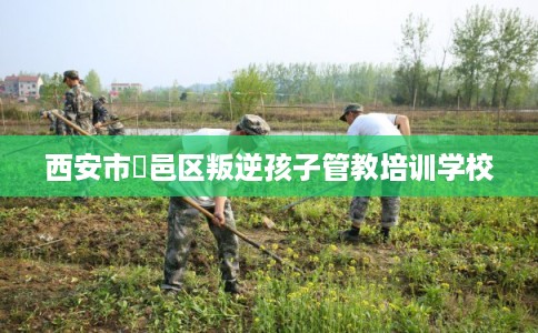 西安市鄠邑区叛逆孩子管教培训学校 西安市鄠邑区叛逆孩子管教培训学校