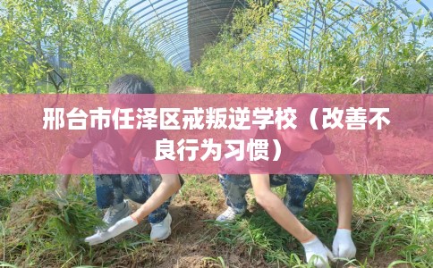 邢台市任泽区戒叛逆学校（改善不良行为习惯）