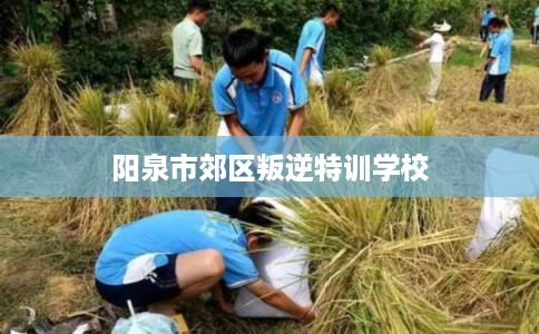 阳泉市郊区叛逆特训学校