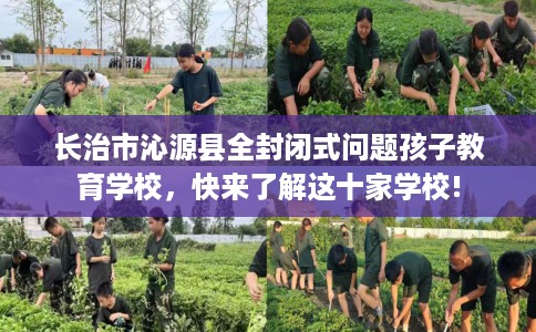 长治市沁源县全封闭式问题孩子教育学校,快来了解这十家学校! 长治市沁源县全封闭式问题孩子教育学校,快来了解这十家学校!