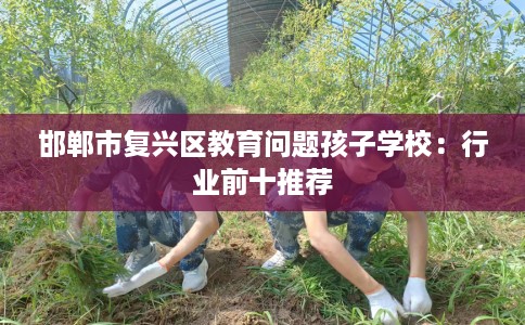 邯郸市复兴区教育问题孩子学校：行业前十推荐