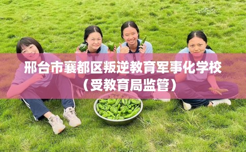 邢台市襄都区叛逆教育军事化学校(受教育局监管) 邢台市襄都区叛逆教育军事化学校(受教育局监管)